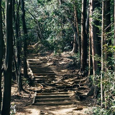 琉璃仙途手游下载