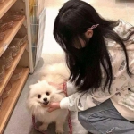 别碰我的球游戏